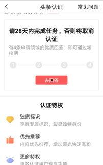 头条管理视频,高效内容审核与传播策略全解析