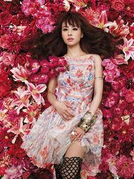 玫瑰之明星,璀璨绽放的传奇故事