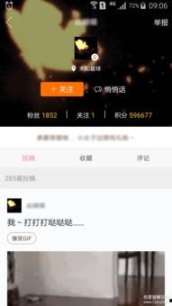 头条如何设置动态字幕,轻松实现个性化字幕效果